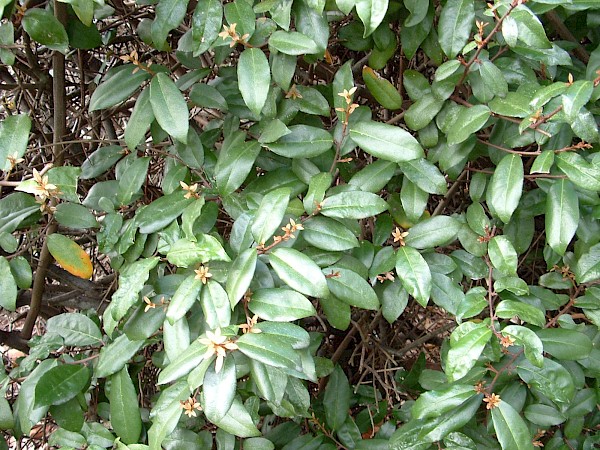 Quiz image