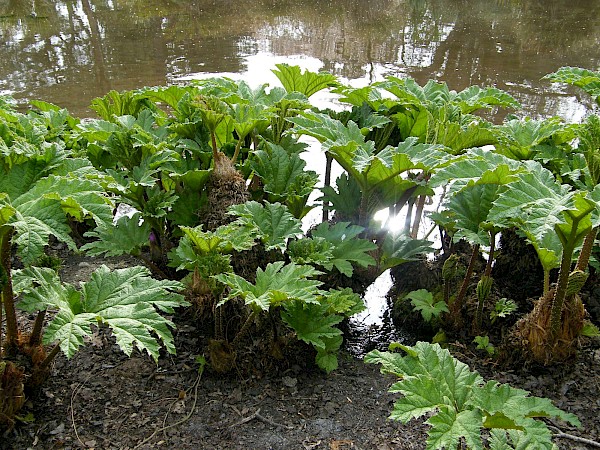 Quiz image