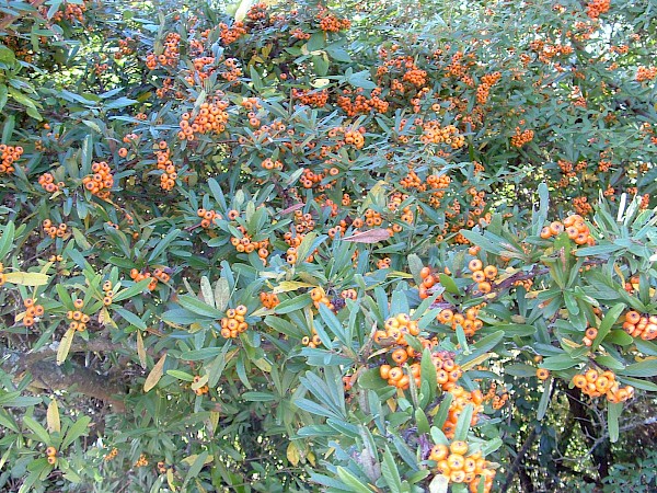 Quiz image