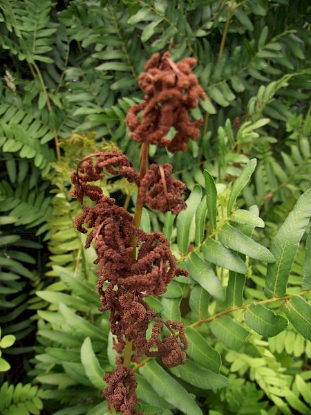 Quiz image