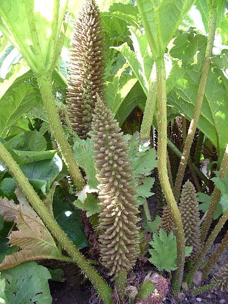 Quiz image