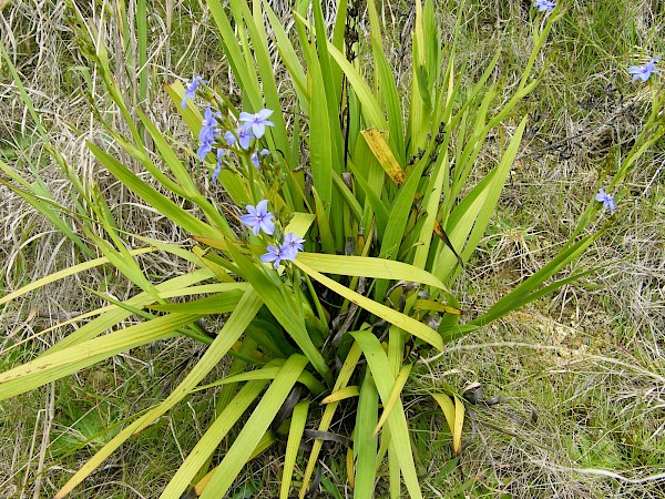 Quiz image